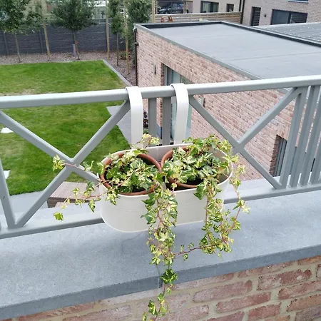 Bed & Breakfast Stilverlangen